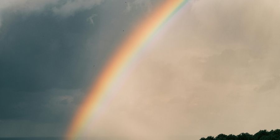 image - Après la pluie