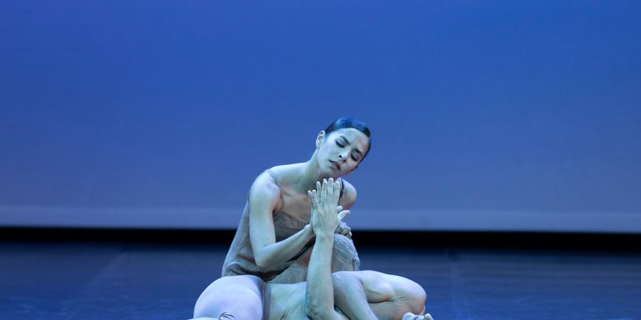 image - Estivales de la Danse - Ballet Stars Gala