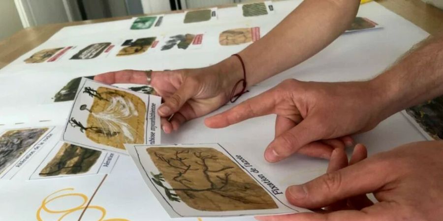 image - Atelier des sols vivants : Fresque sur les sols et l'agriculture
