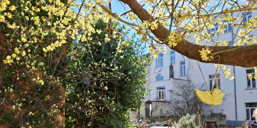 image - Balade Potager n°2