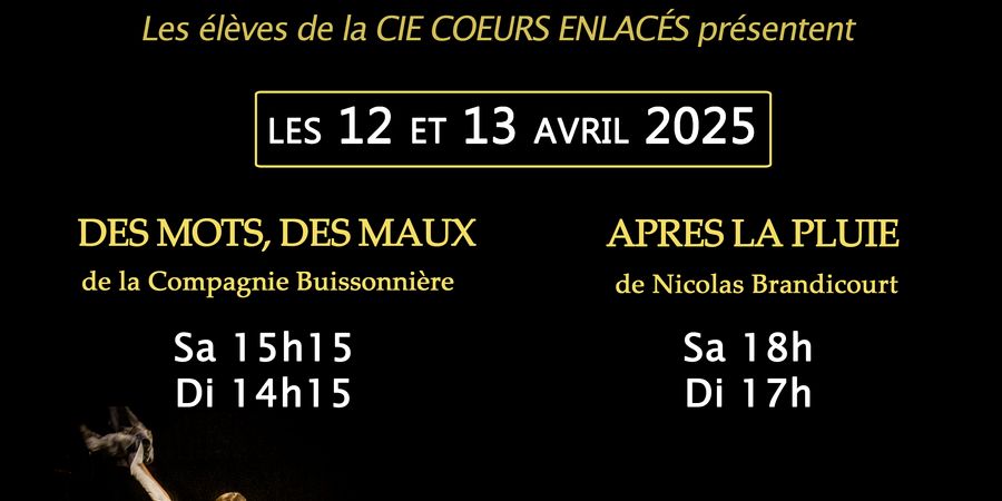image - Spectacles les 12 et 13 avril à Boussu