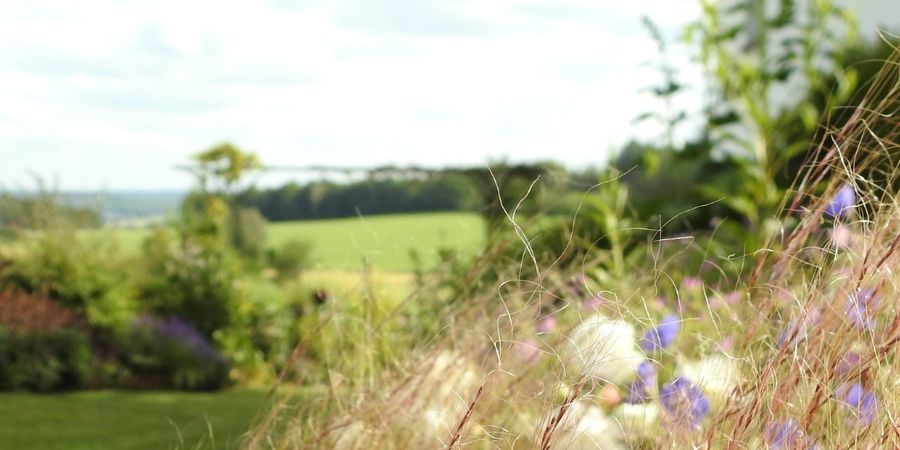 image - Jardins ouverts à Vaux-sur-Sûre