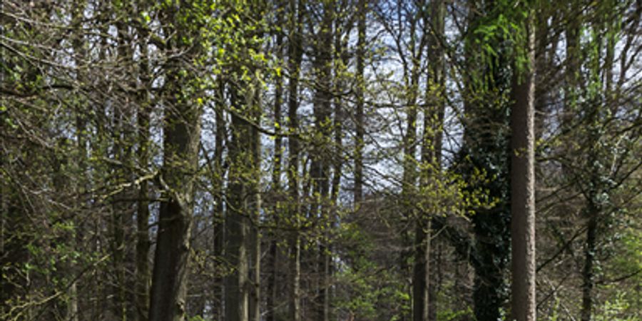 image - Wandel je fit