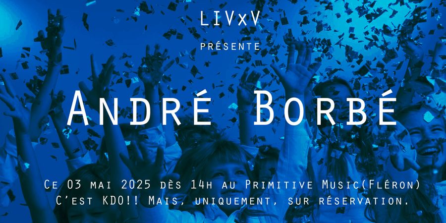image - André Borbé en concert