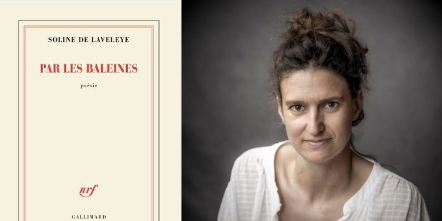 image - Rencontre poésie avec Soline de Laveleye
