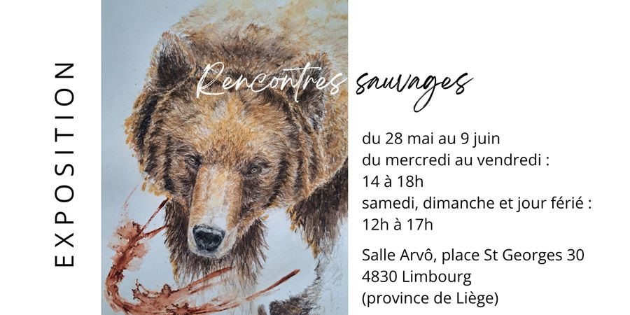image - Rencontres sauvages