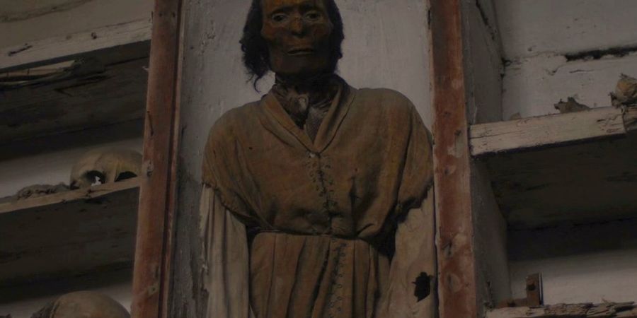 image - Immémorial, chants de la grande nuit