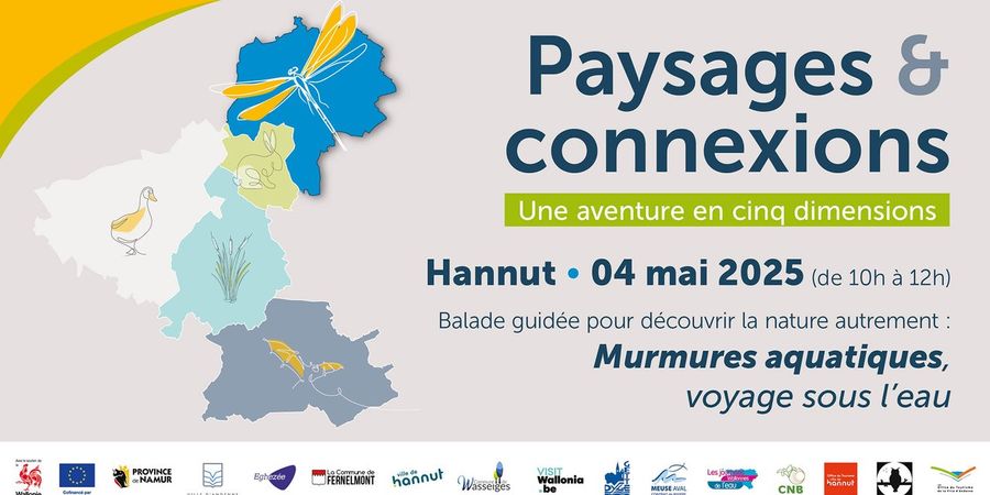 image - Paysages et connexions : une aventure en plusieurs dimensions