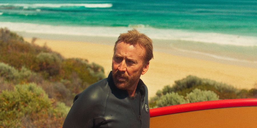 image - The Surfer