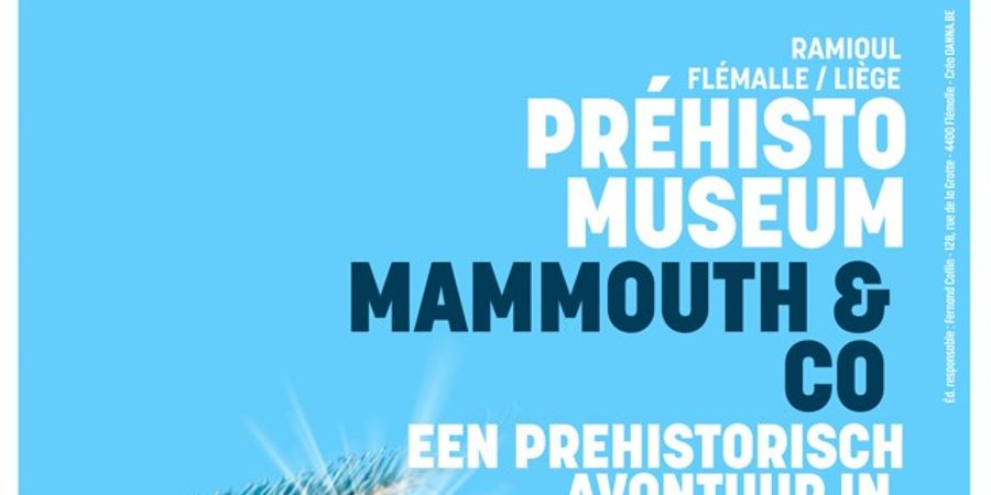 image - Mammoet & Co