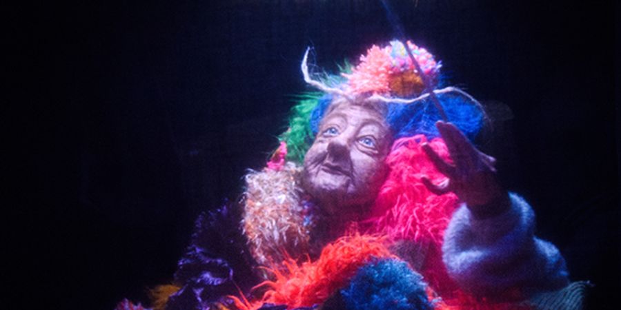 image - Boîte crânienne