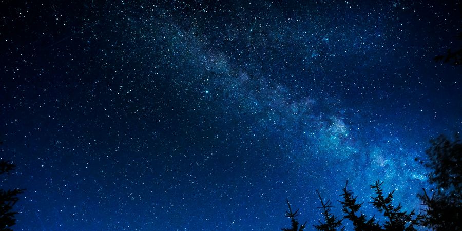 image - La nuit au musée