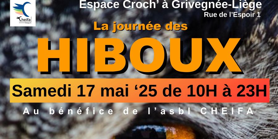 image - La journée des Hiboux