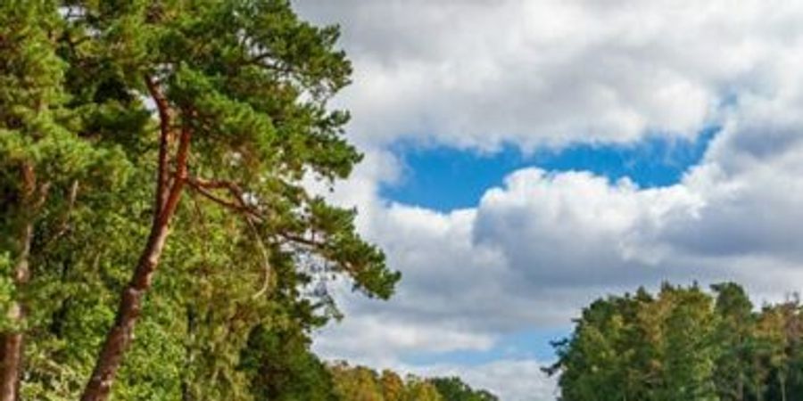 image - Découvrez le golf avec 