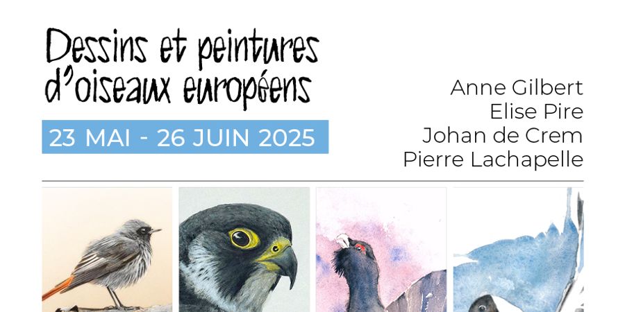 image - Dessins et peintures d’oiseaux européens