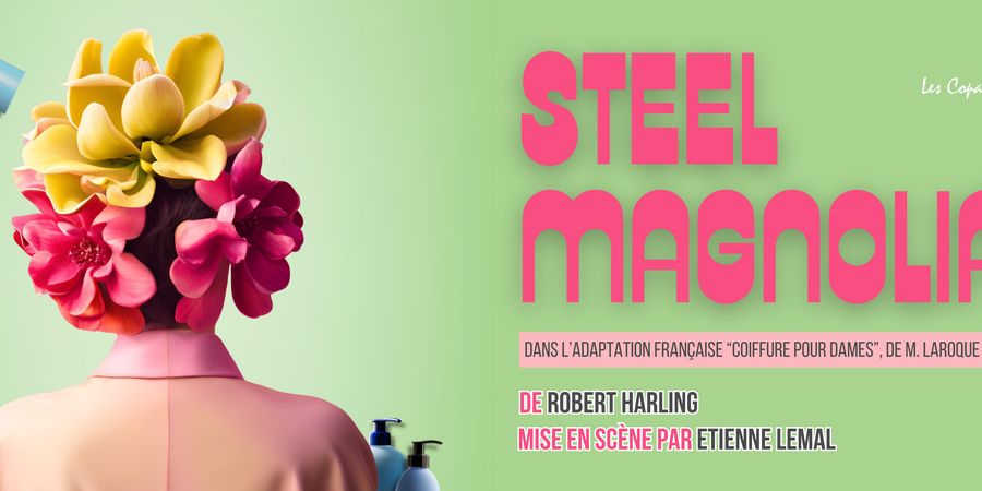 image - Steel Magnolias