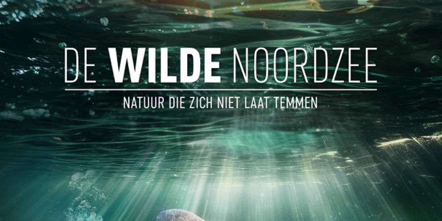 image - De Wilde Noordzee