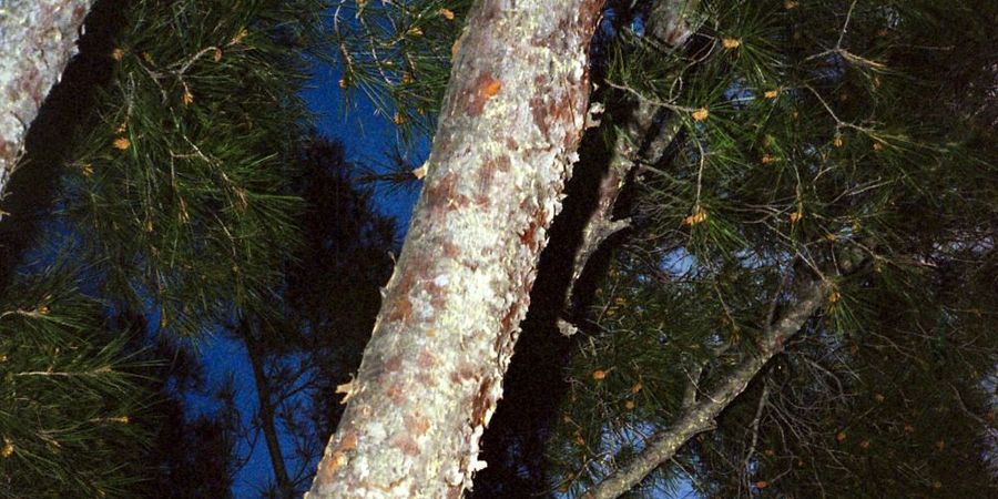 image - EXPO PHOTOS DE L’ESA LE 75