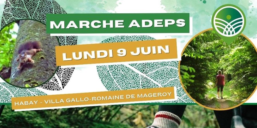 image - Marche Adeps - Habay - Villa de Mageroy