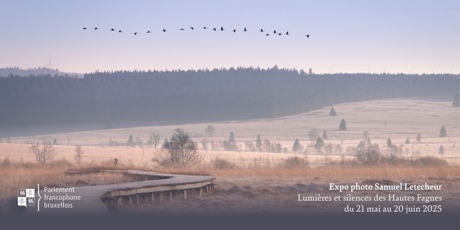 image - Expo photo 