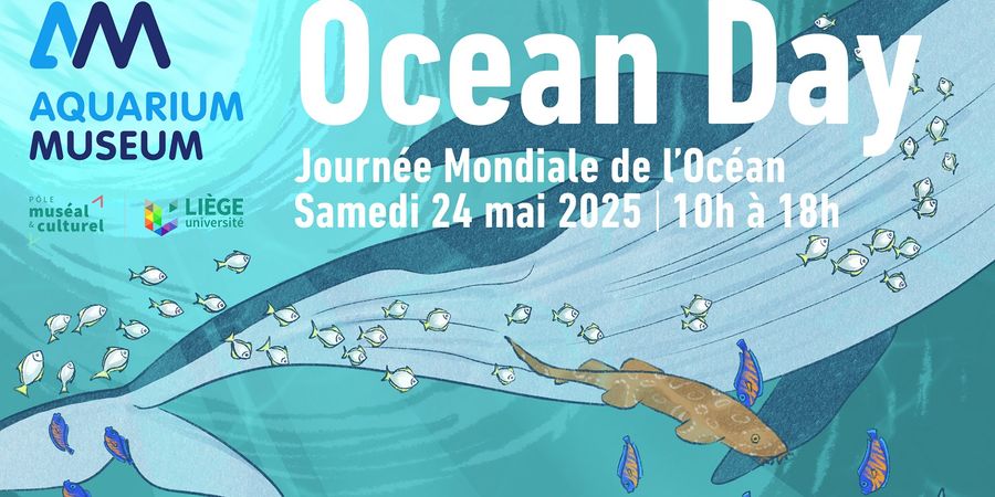 image - Ocean Day, plongez dans une aventure océanique exceptionnelle !