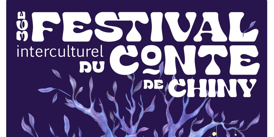 image - 36e Festival Interculturel du Conte de Chiny