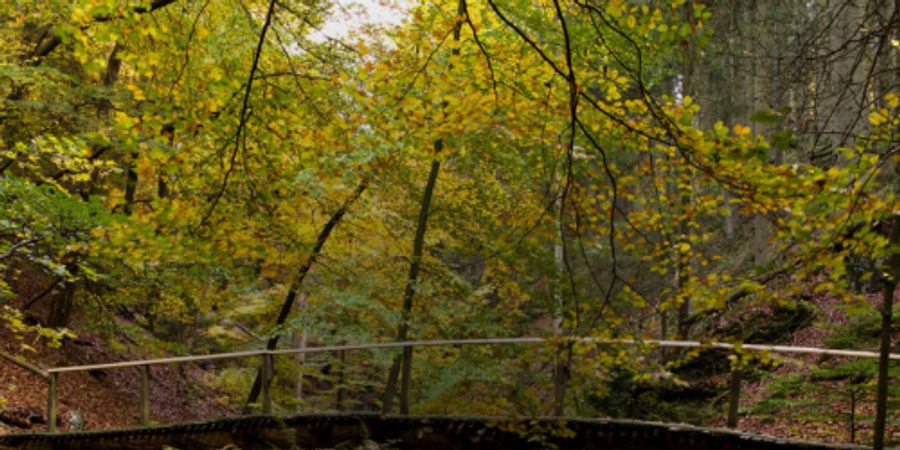 image - Promenade Nature et Patrimoine