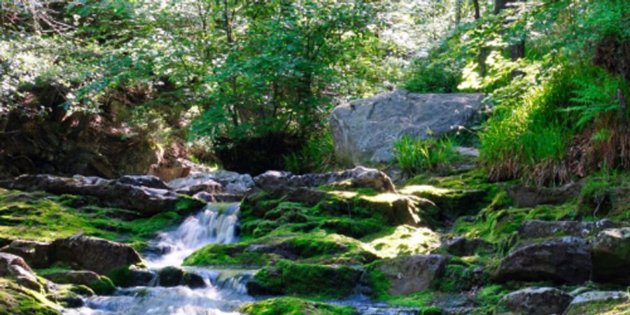 image - Promenade Nature et Patrimoine