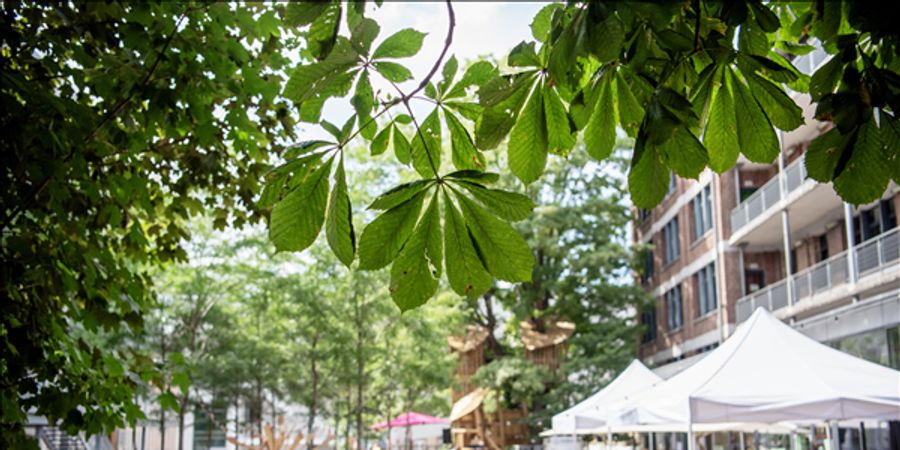 image - Open Tuin: Club1030