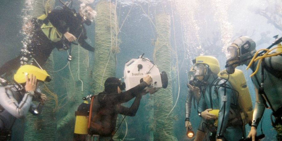 image - La Vie aquatique