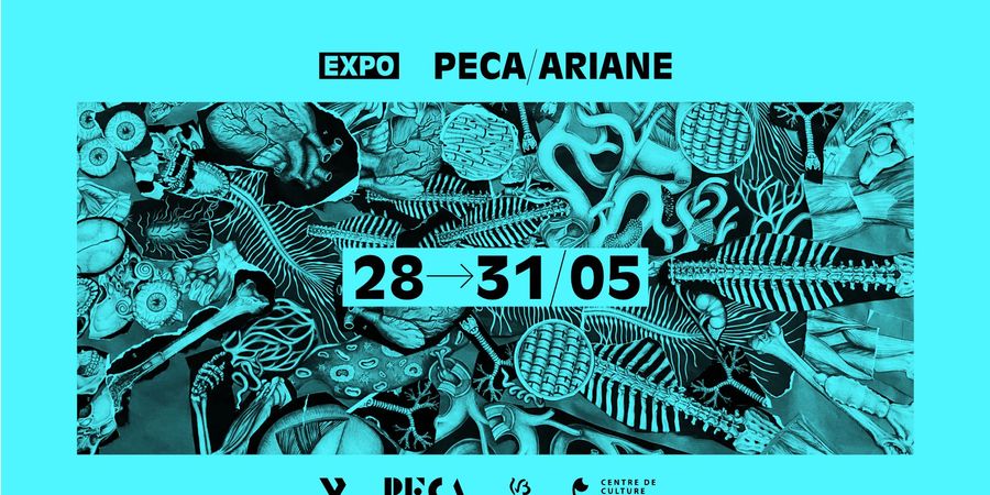 image - Ariane - Exposition PECA