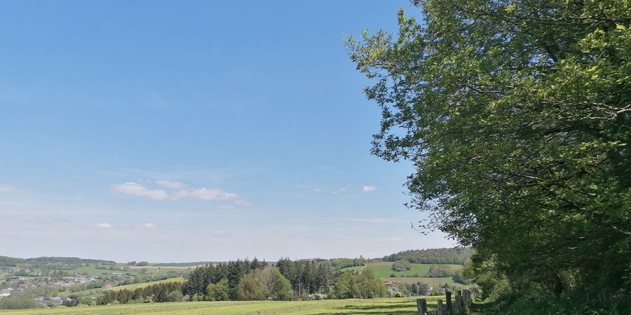image - Balade en Famenne - Ardenne 