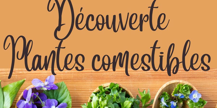 image - Découverte Plantes comestibles