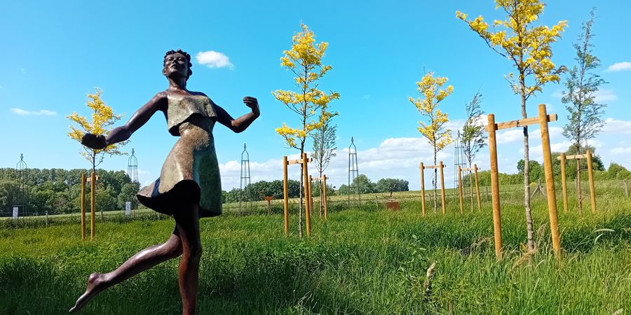 image - ‘De Betoverende Tuin 2025' opent met de periode van het licht.