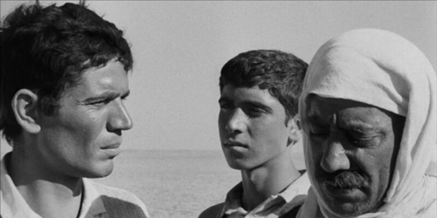 image - Resistance Festival - Films The Dupes (1972) & Behind the Lines (2025)