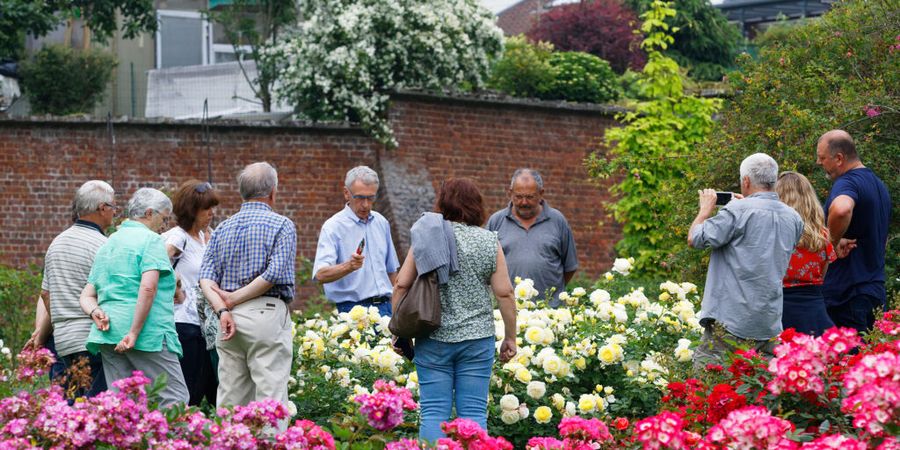 image - Visites guidées des Jardins des Roses du Roeulx