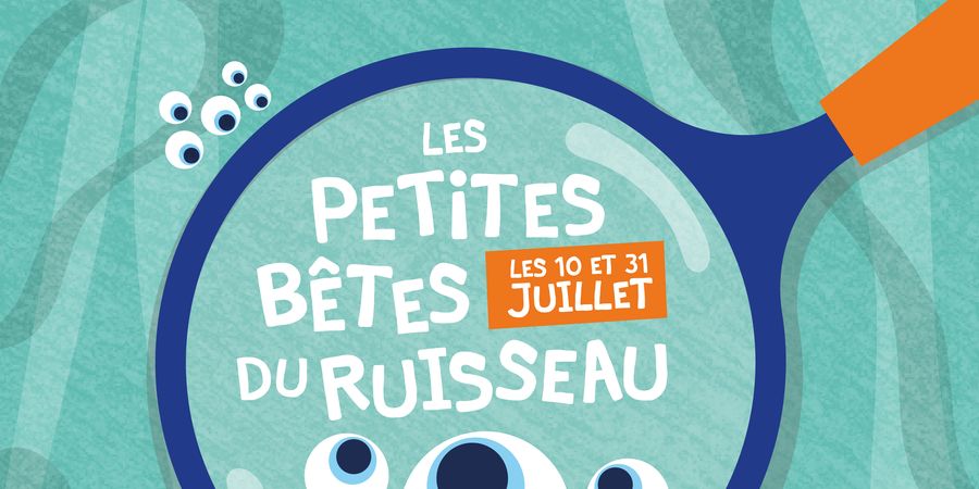 image - Les petites bêtes du ruisseau 