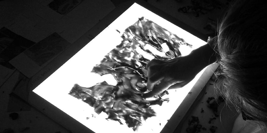 image - Workshop Adultes en cinéma d’animation