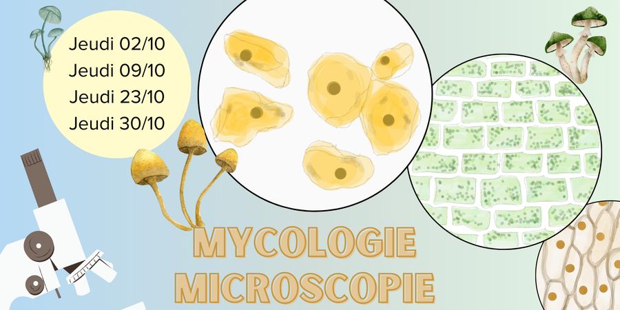 image - Mycologie : formation microscopie 2025