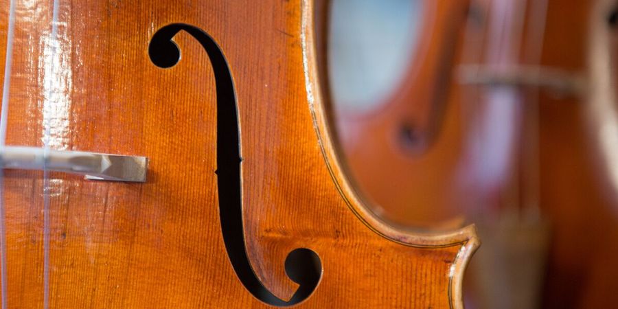 image - Concours Reine Elisabeth 2026: violoncelle