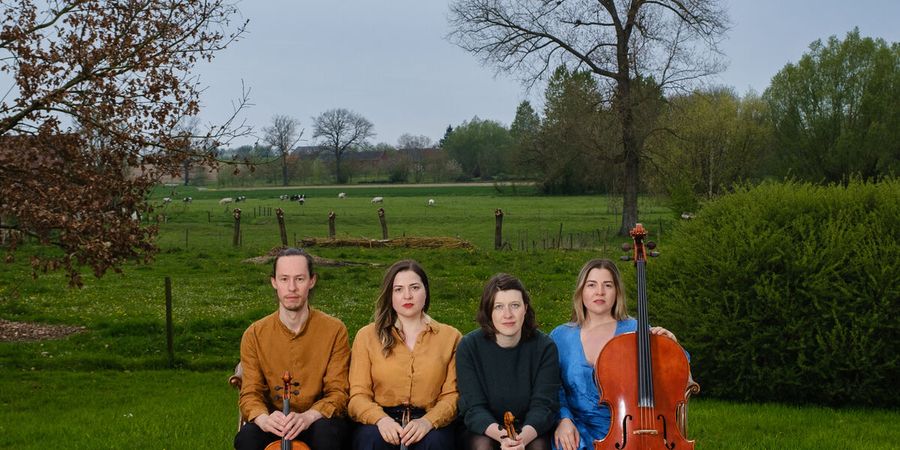 image - Karski Quartet