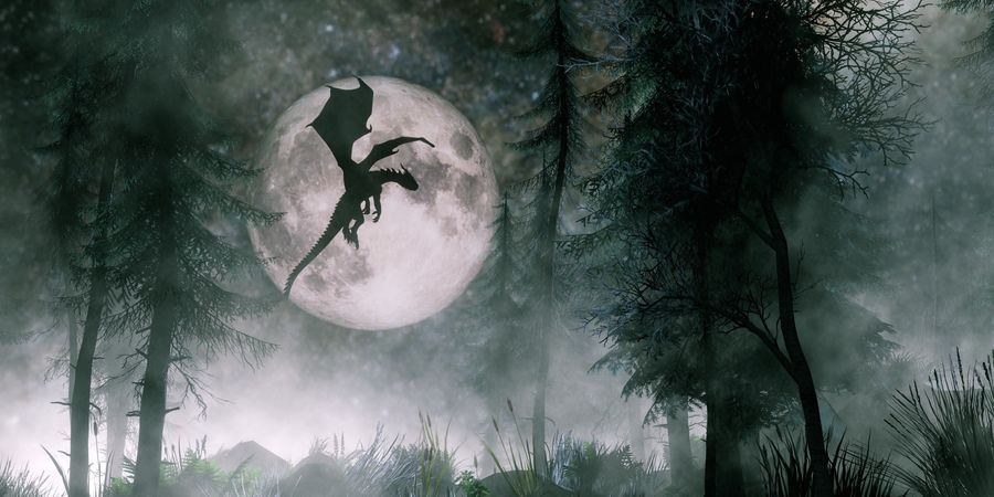 image - Le dragon 