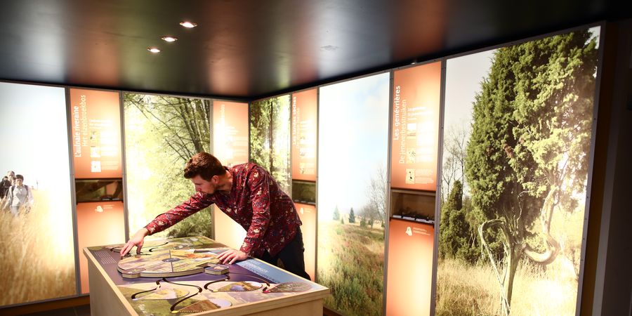 image - Dimanche + que gratuit au Musée de la Forêt et des Eaux