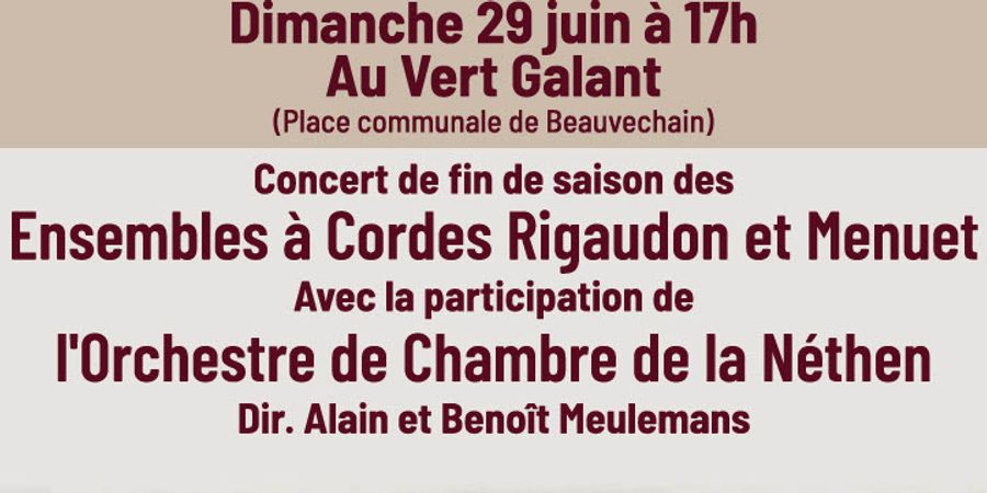 image - Concert de fin de saison des Ensembles à Cordes de la Néthen
