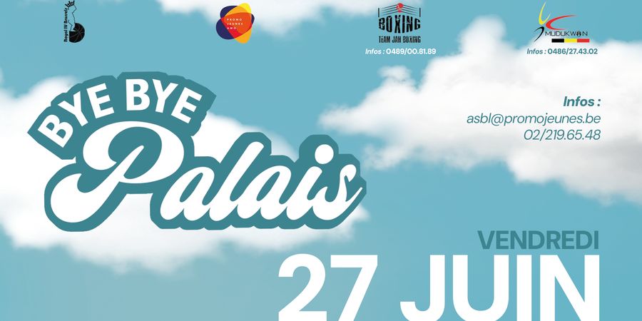 image - Bye Bye Palais
