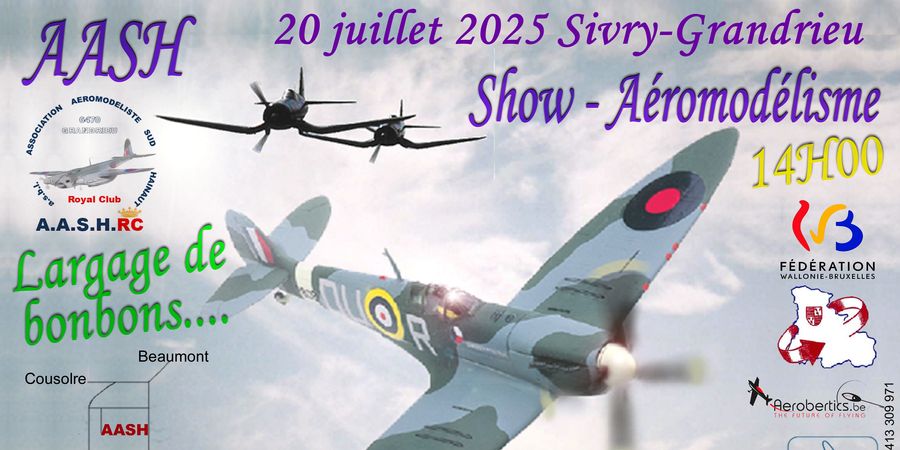 image - Grand show d'aéromodélisme
