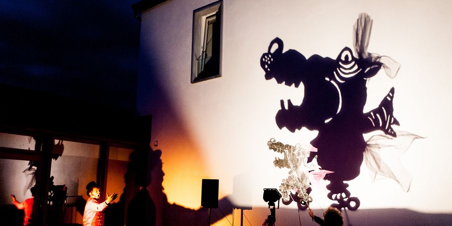 image - Le grand cirque des ombres