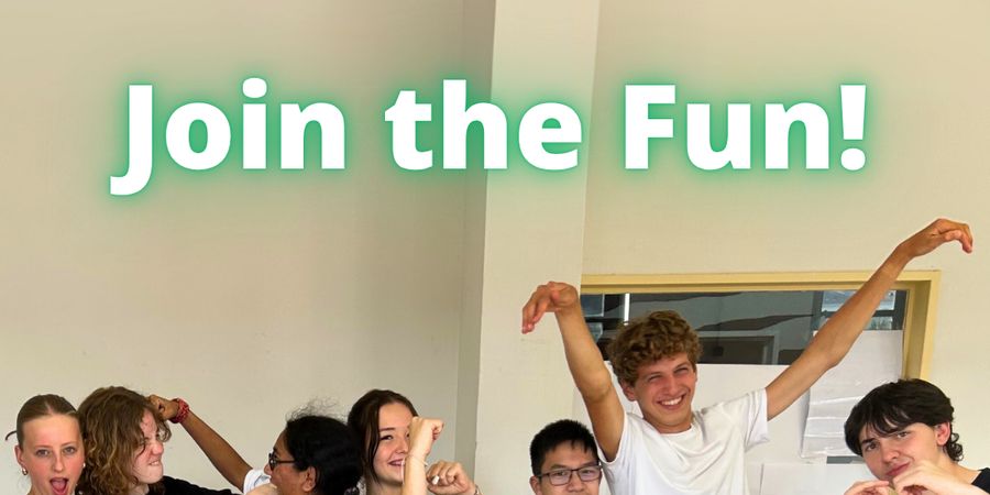 image - Zomerschool voor muziektheater door The Bridge Theatre
