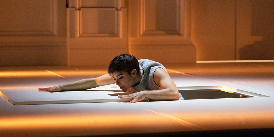 image - Entre chiens et louves