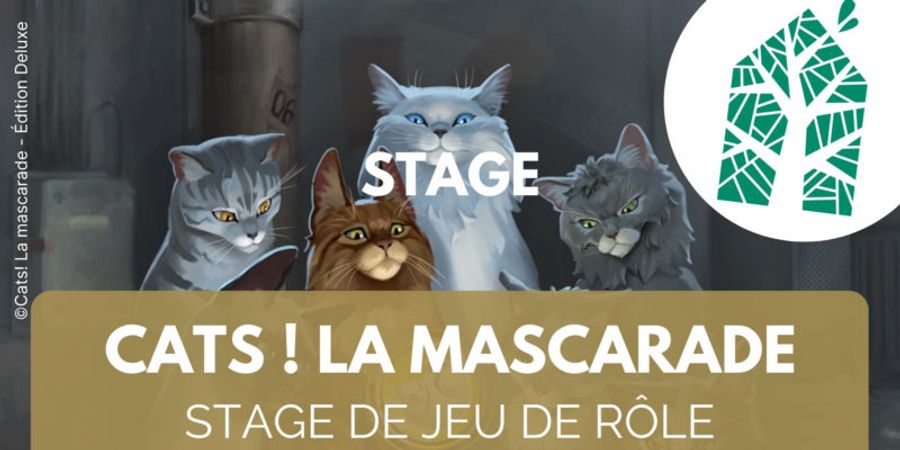 image - Stage de jeu de rôle